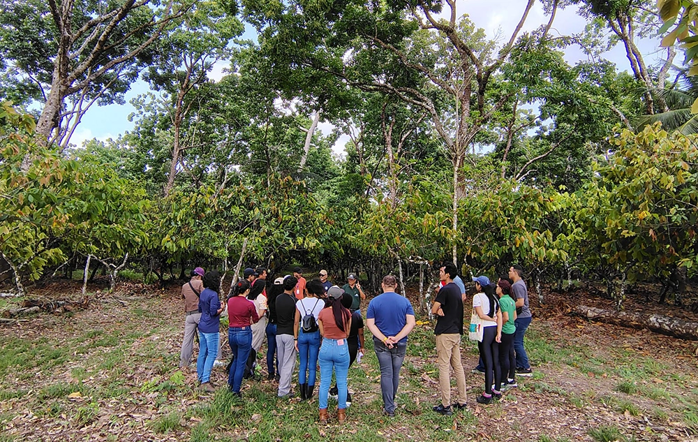 Reflexões da Terra: A Integração Humana e o Legado de Michinori Konagano