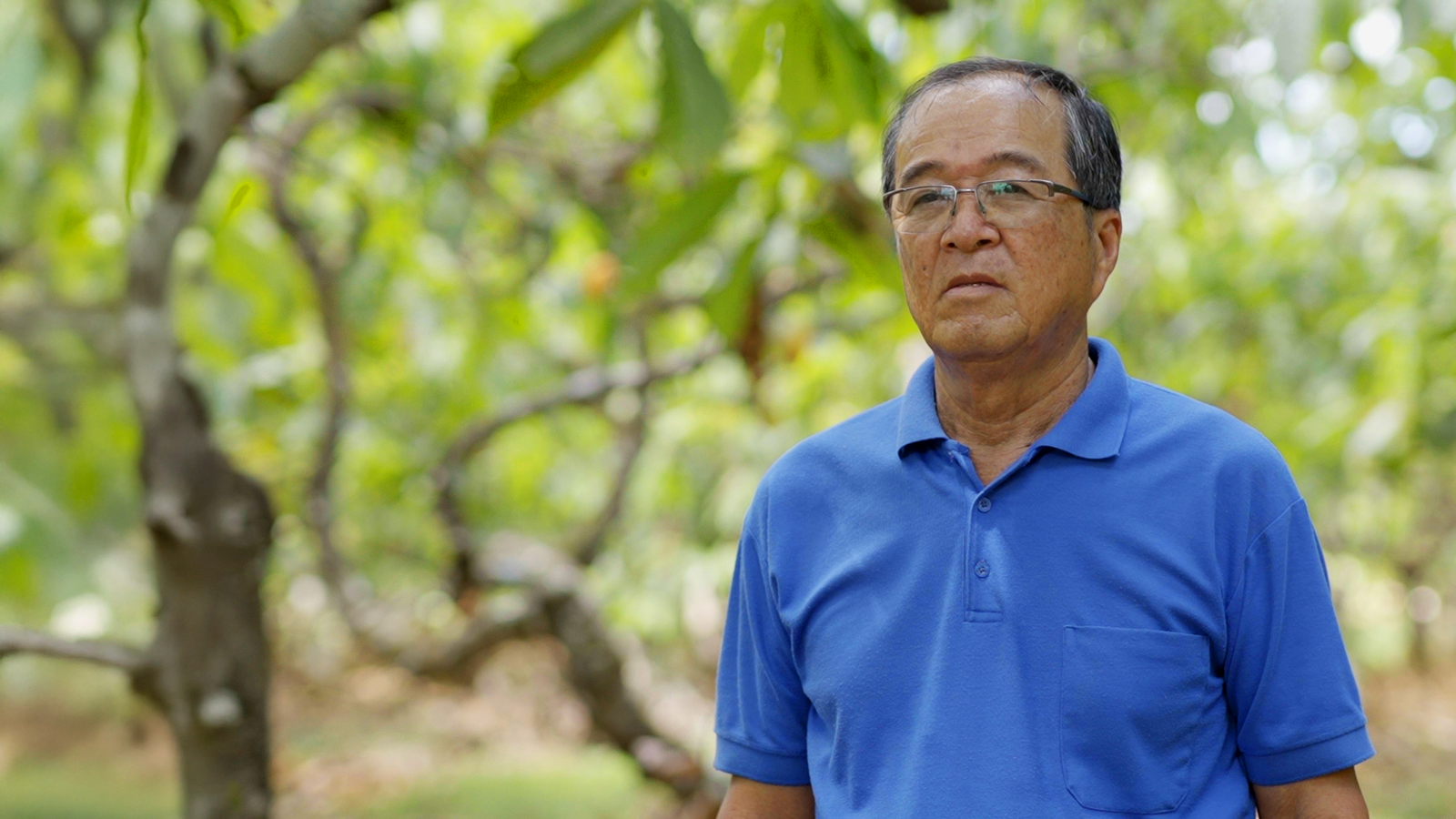 Michinori Konagano: O Imigrante que Transformou a Crise na Amazônia em um Modelo Global de Regeneração Agroflorestal