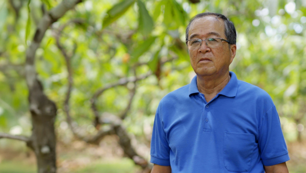 Michinori Konagano: O Imigrante que Transformou a Crise na Amazônia em um Modelo Global de Regeneração Agroflorestal