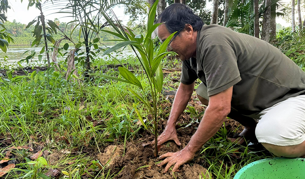Semeando Conhecimento: O Nosso Novo Ponto de Encontro Digital para a Regeneração