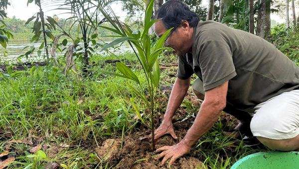 Semeando Conhecimento: O Nosso Novo Ponto de Encontro Digital para a Regeneração